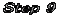 Step 9